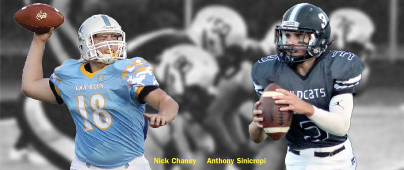 Golden Bears, Wildcats improving weekly